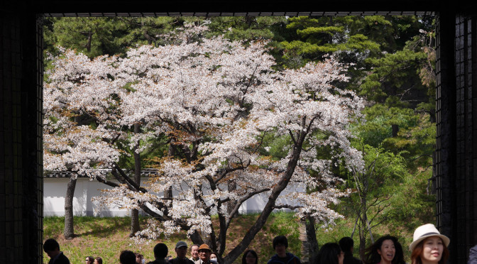 ディラン・ベック・キャパ、皇居　その２